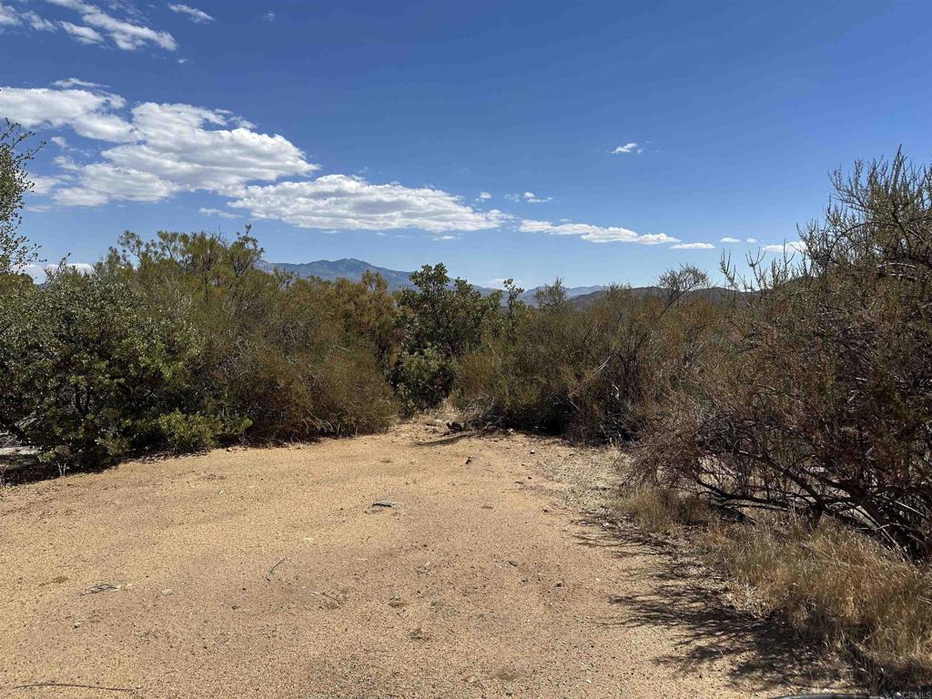 59125 Rimrock Canyon Road Property Photo 9