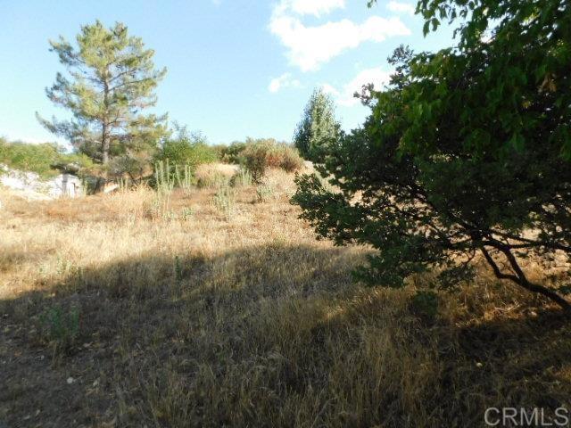 29949 Canadian Honker Road Property Photo 6