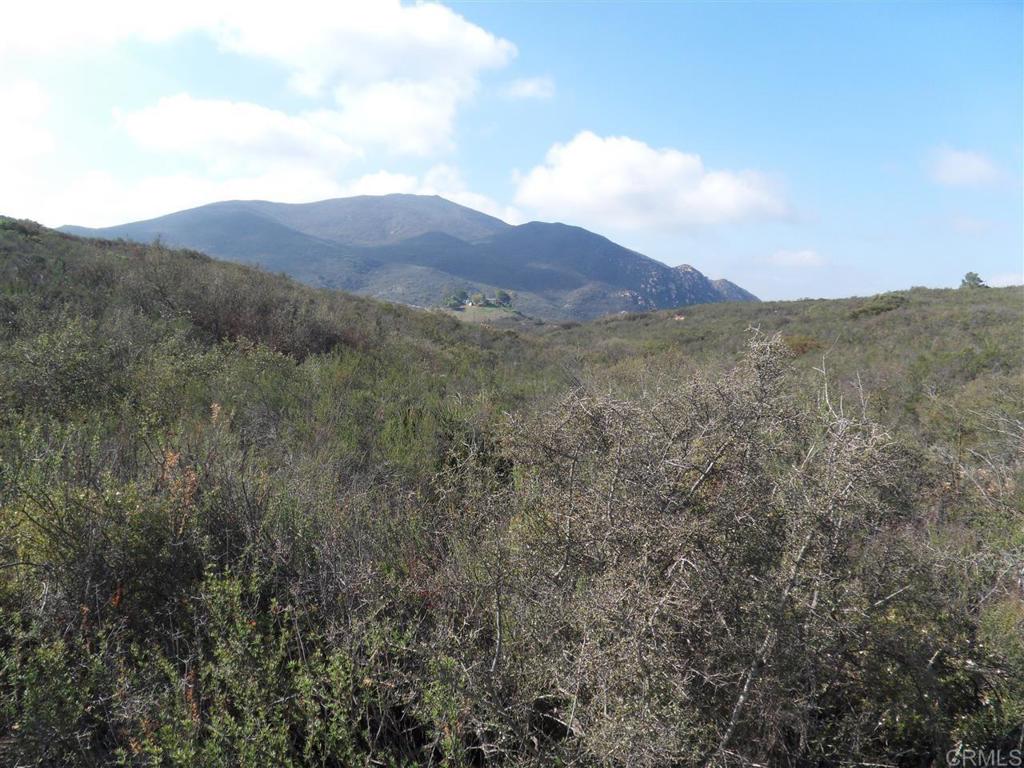 0 Montiel Truck Trl Property Photo 1