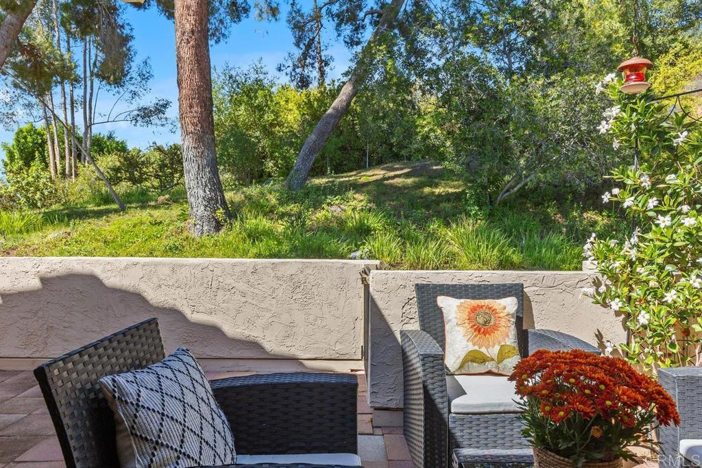 17842 Avenida Cordillera #30 Property Photo 31