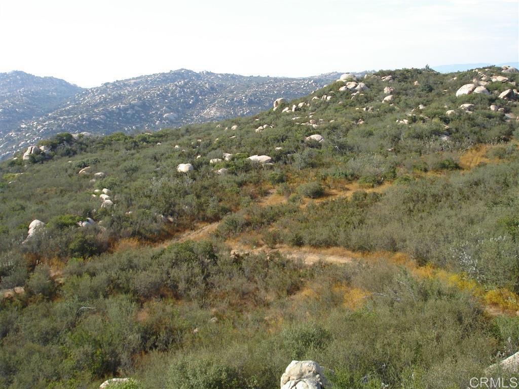 0 Old Wagon Road Property Photo 6