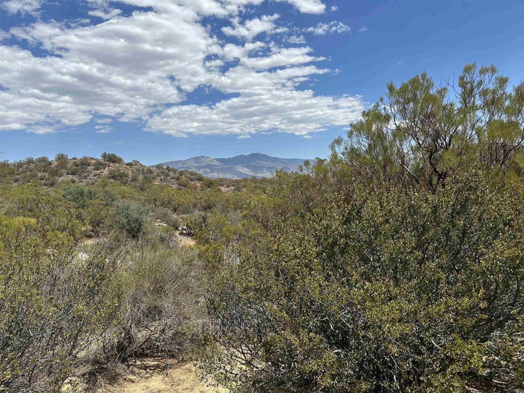59675 Upper Tule Road Property Photo 7