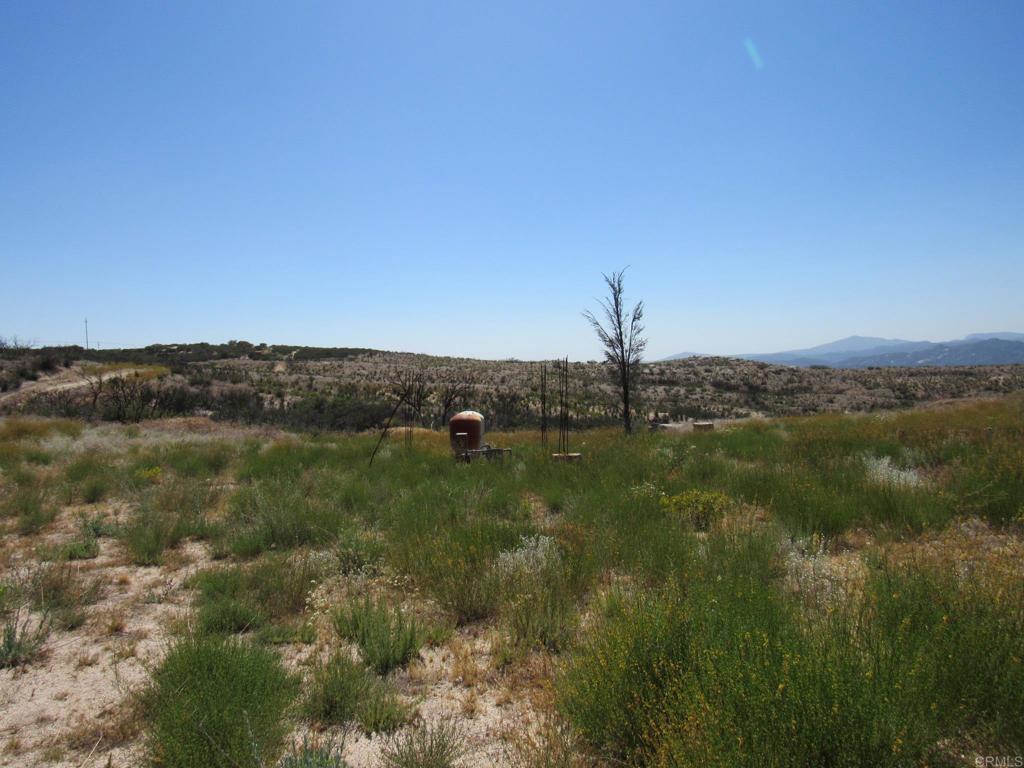 34679 Old Hwy 80 Property Photo 1