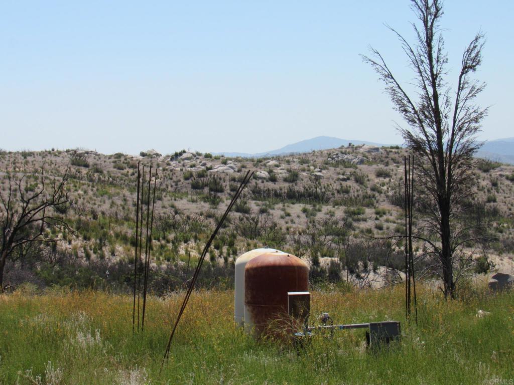 34679 Old Hwy 80 Property Photo 2