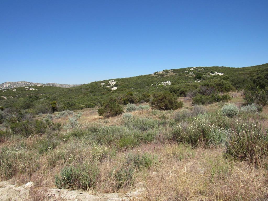 34679 Old Hwy 80 Property Photo 4