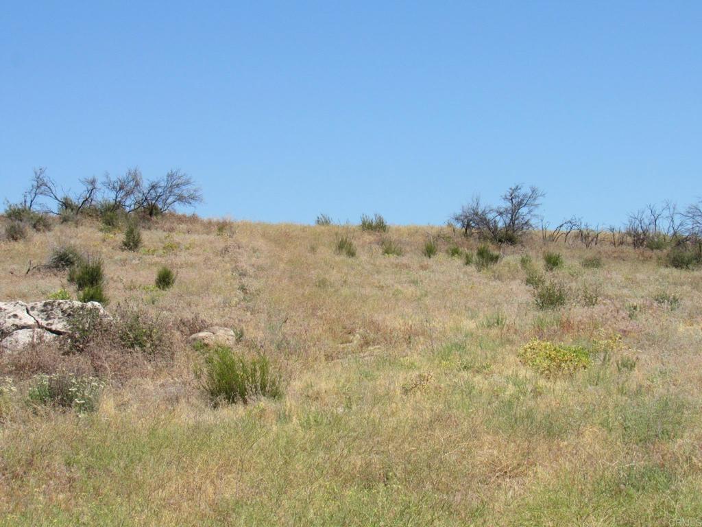 34679 Old Hwy 80 Property Photo 5