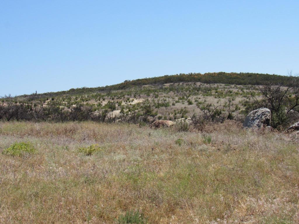 34679 Old Hwy 80 Property Photo 6