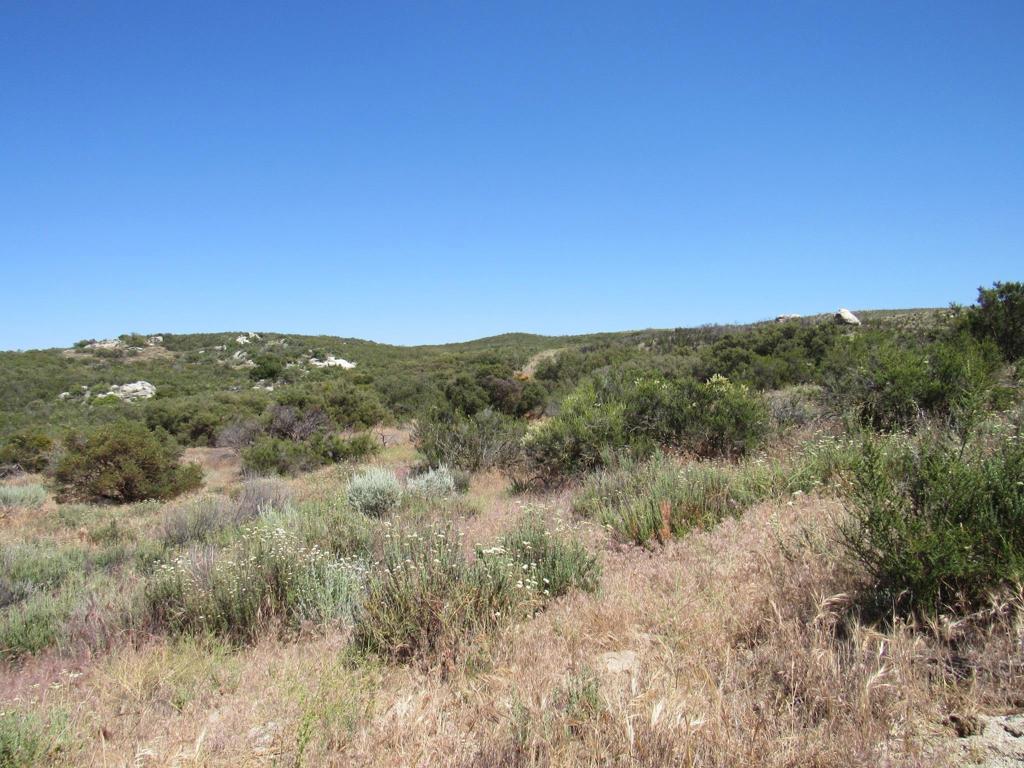 34679 Old Hwy 80 Property Photo 7
