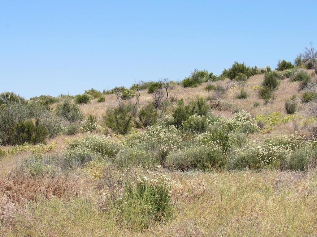 34679 Old Hwy 80 Property Photo 8