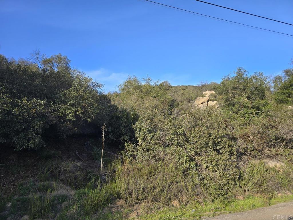 0 Rockhouse Road Property Photo 2