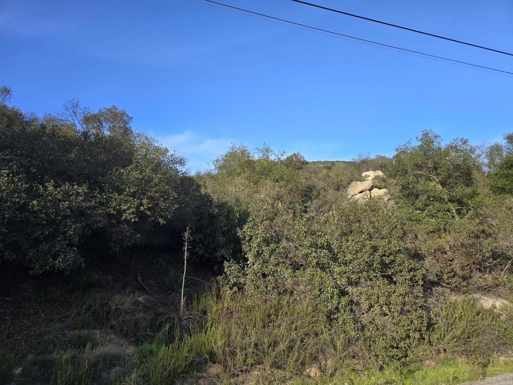 0 Rockhouse Road Property Photo 3