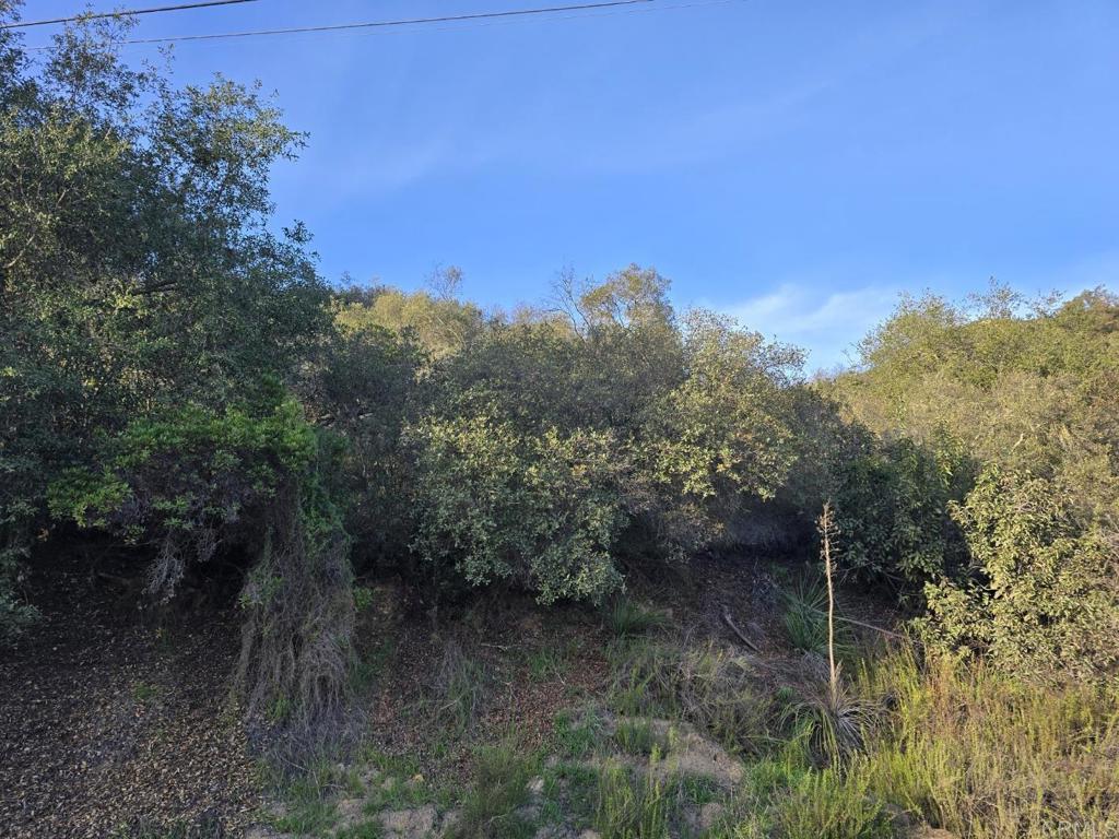 0 Rockhouse Road Property Photo 4