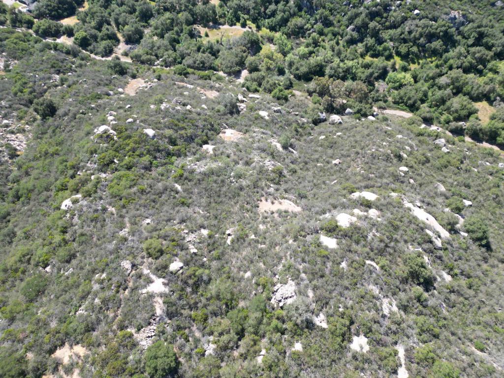 0 Rockhouse Road Property Photo 11