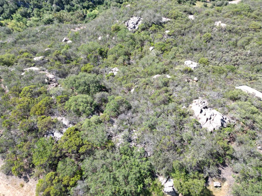0 Rockhouse Road Property Photo 13