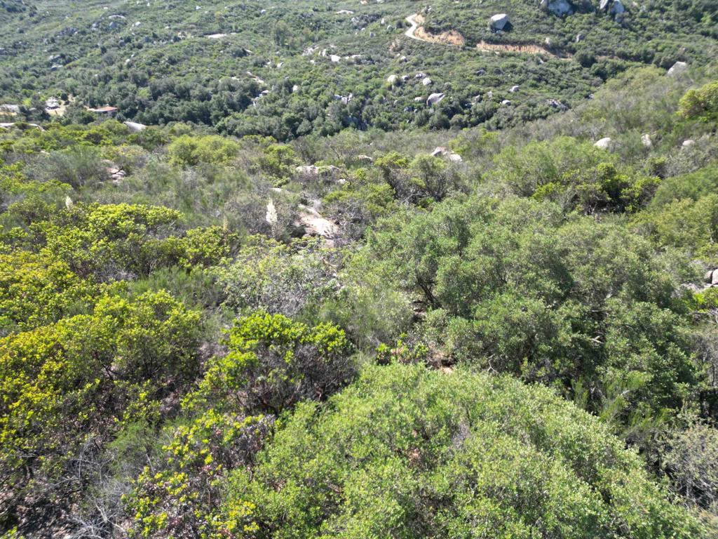 0 Rockhouse Road Property Photo 17