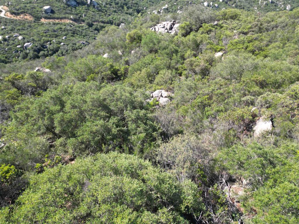 0 Rockhouse Road Property Photo 18