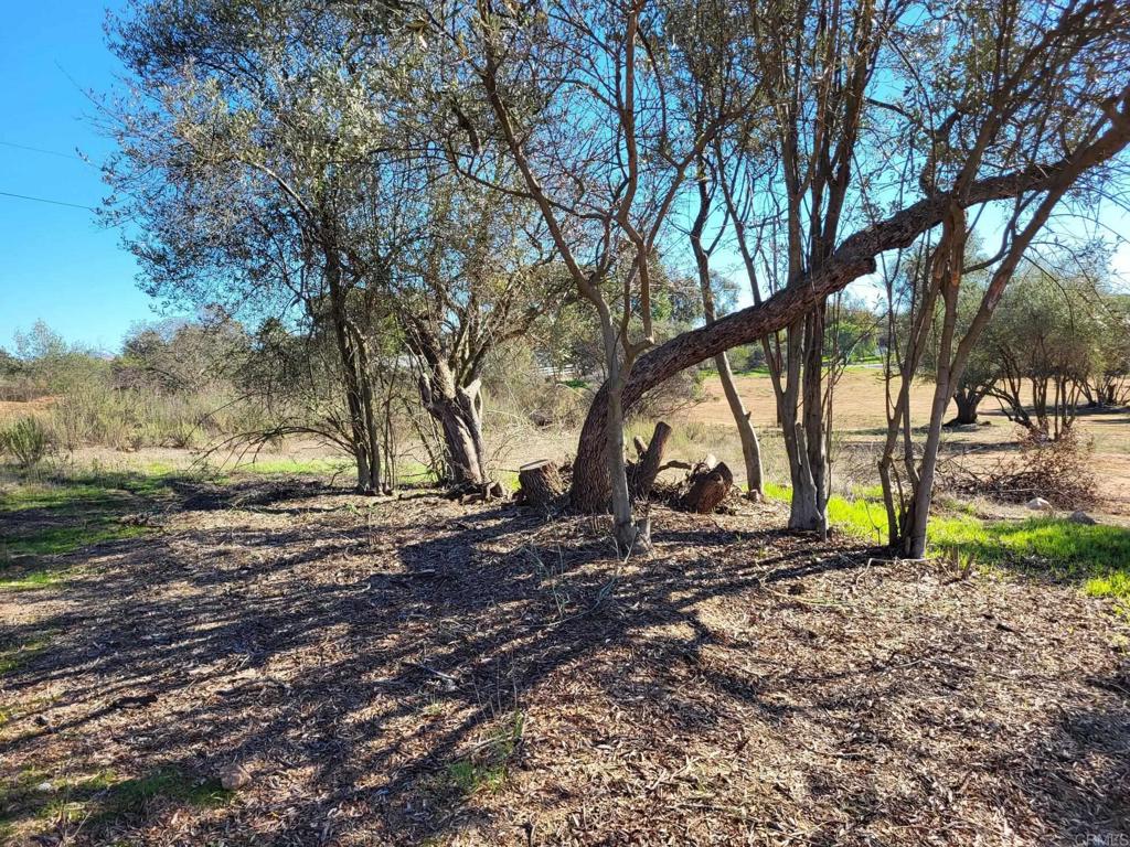 616 Alpine Heights-20acres Property Photo 31