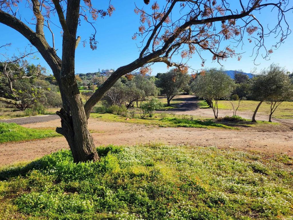 616 Alpine Heights-20acres Property Photo 39