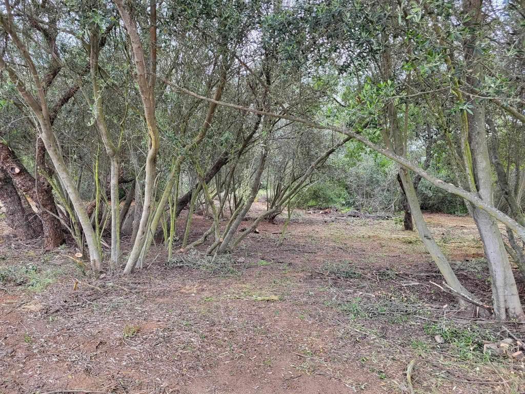 616 Alpine Heights-20acres Property Photo 42