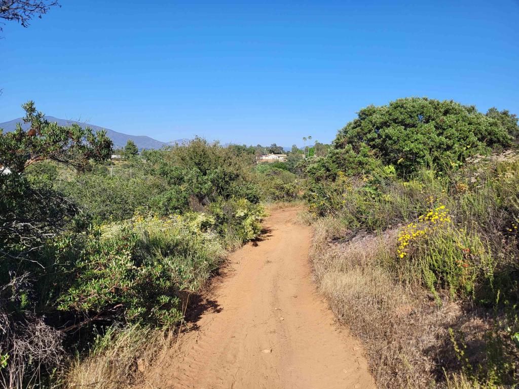 616 Alpine Heights-20acres Property Photo 47