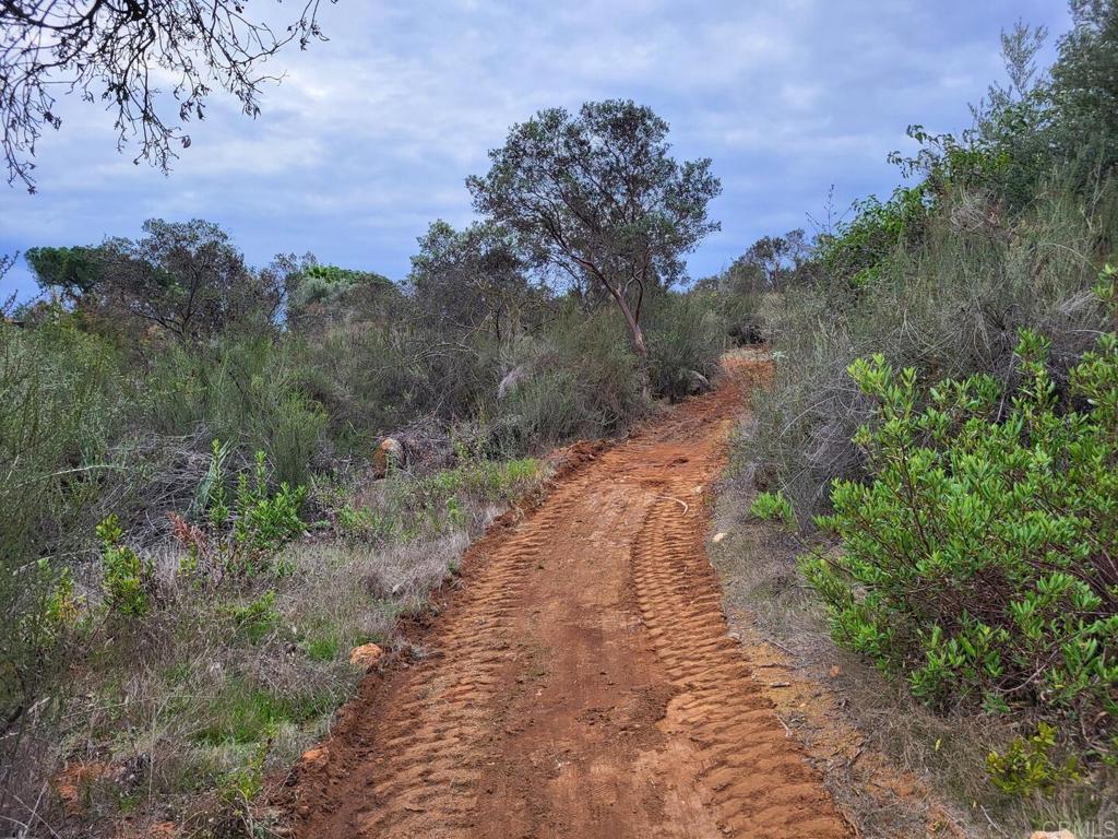 616 Alpine Heights-20acres Property Photo 50