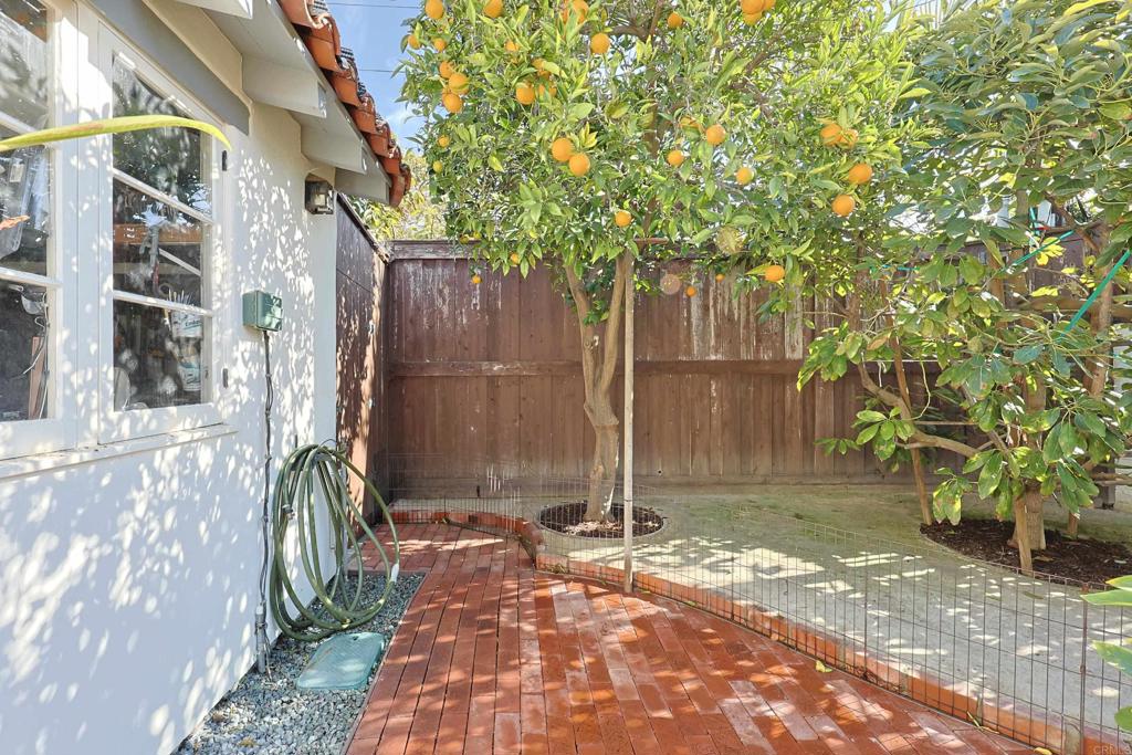 817 Margarita Property Photo 44