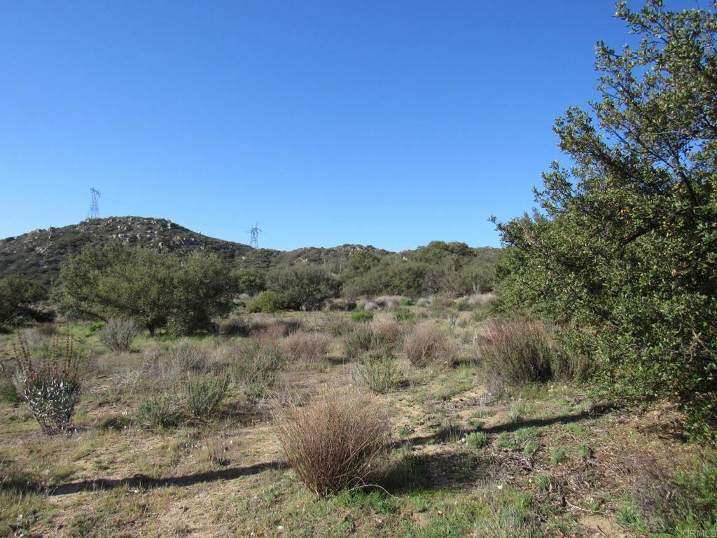 4.38 Acres Buckman Springs Rd Property Photo 2
