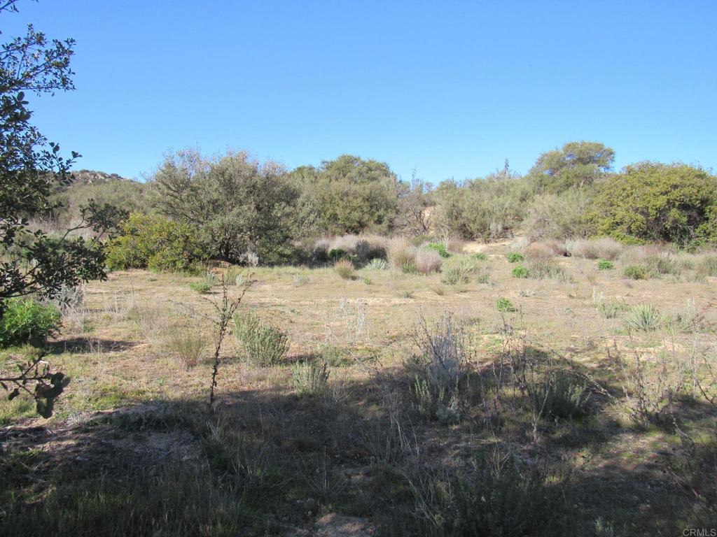 4.38 Acres Buckman Springs Rd Property Photo 4