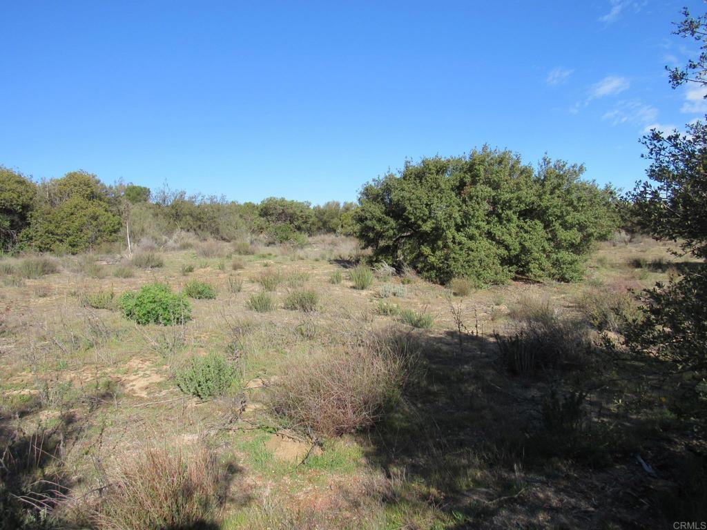 4.38 Acres Buckman Springs Rd Property Photo 5