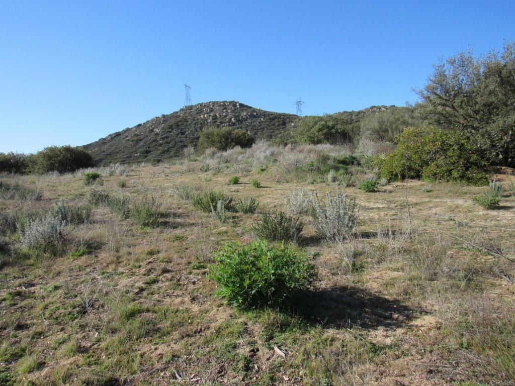 4.38 Acres Buckman Springs Rd Property Photo 6