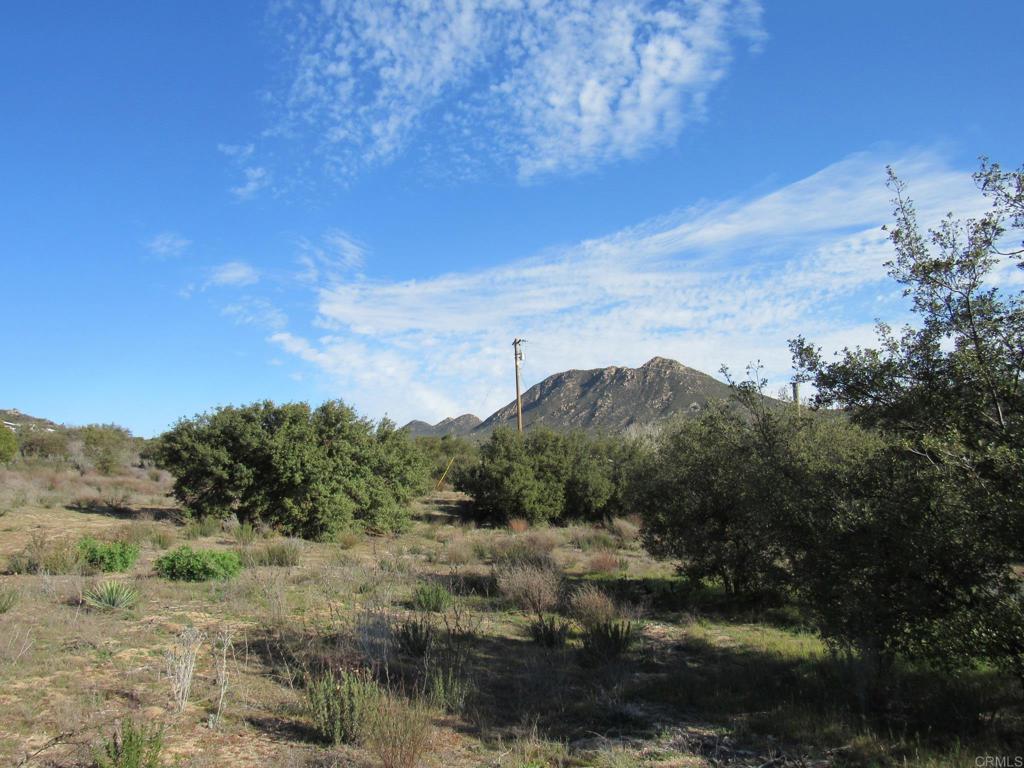 4.38 Acres Buckman Springs Rd Property Photo 8
