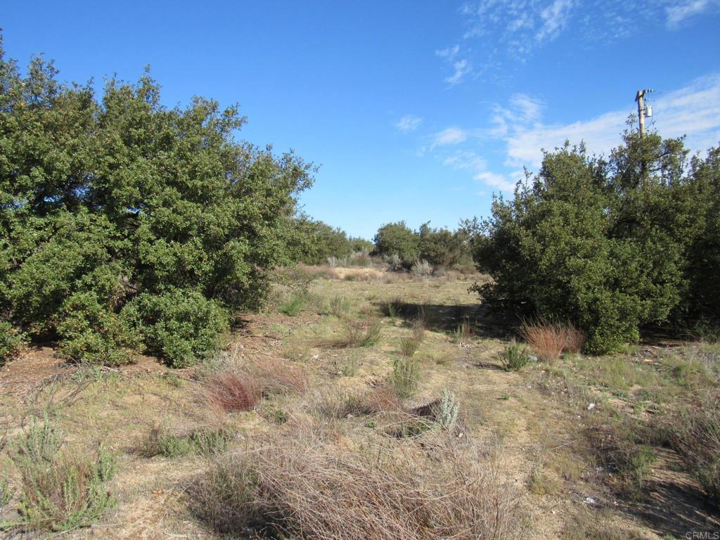 4.38 Acres Buckman Springs Rd Property Photo 9