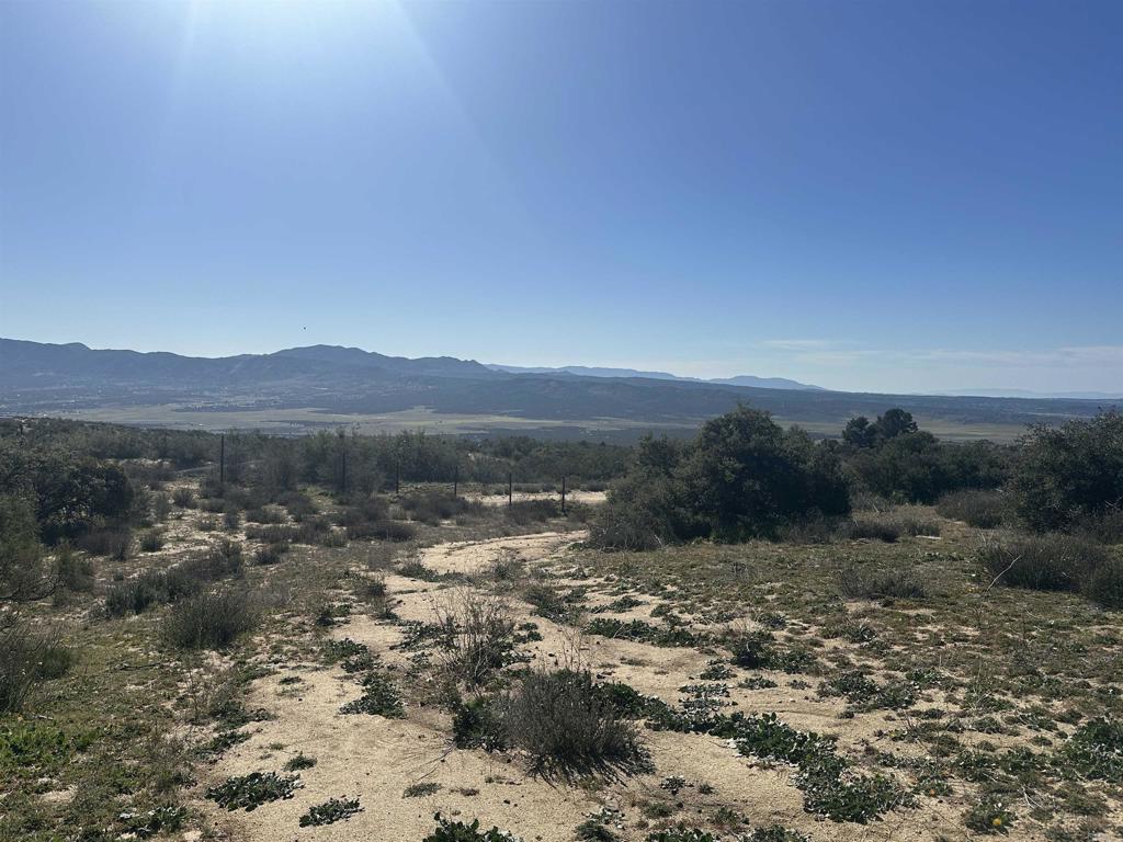 40368 Elm Brush Trail Property Photo 1