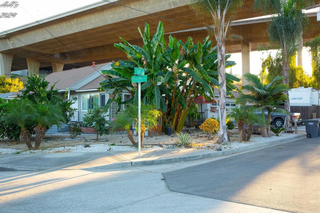 3422 Trophy Property Photo 1