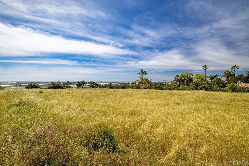 1009 Corte Barroso Property Photo 5