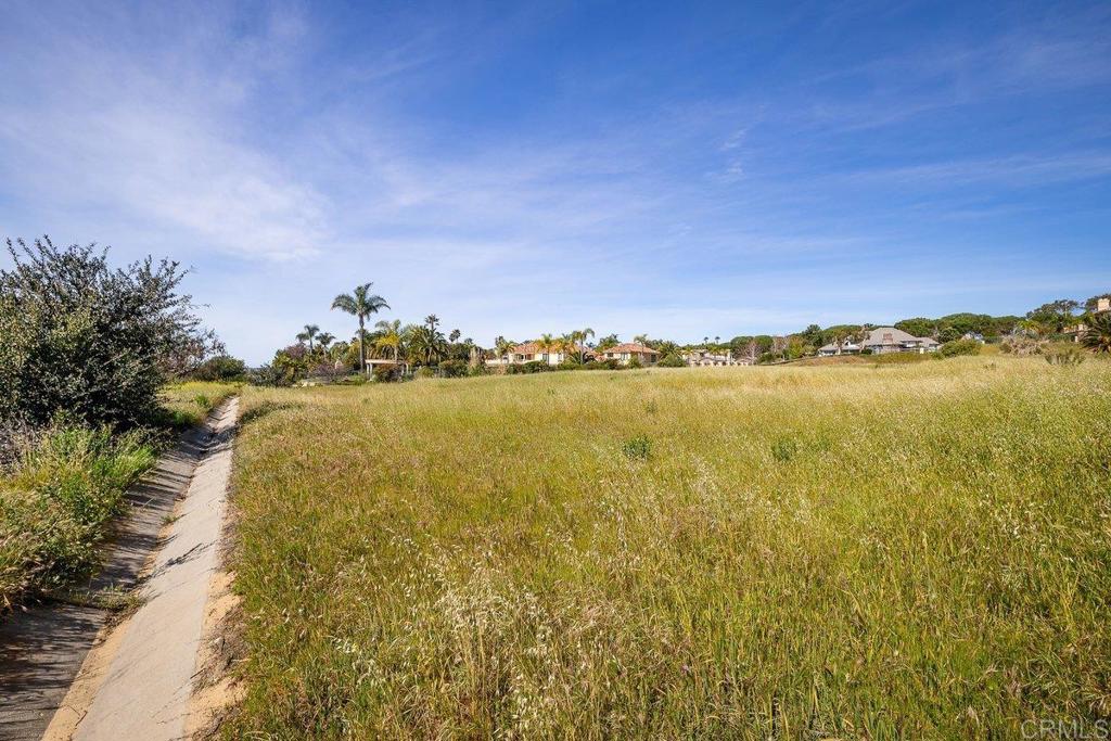 1009 Corte Barroso Property Photo 8