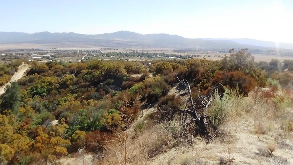 37245 Old Forest Road Property Photo 5
