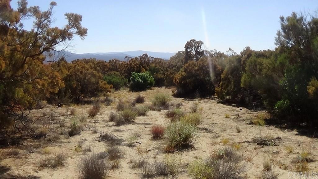 37245 Old Forest Road Property Photo 7