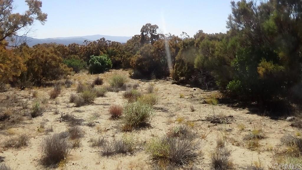37245 Old Forest Road Property Photo 8