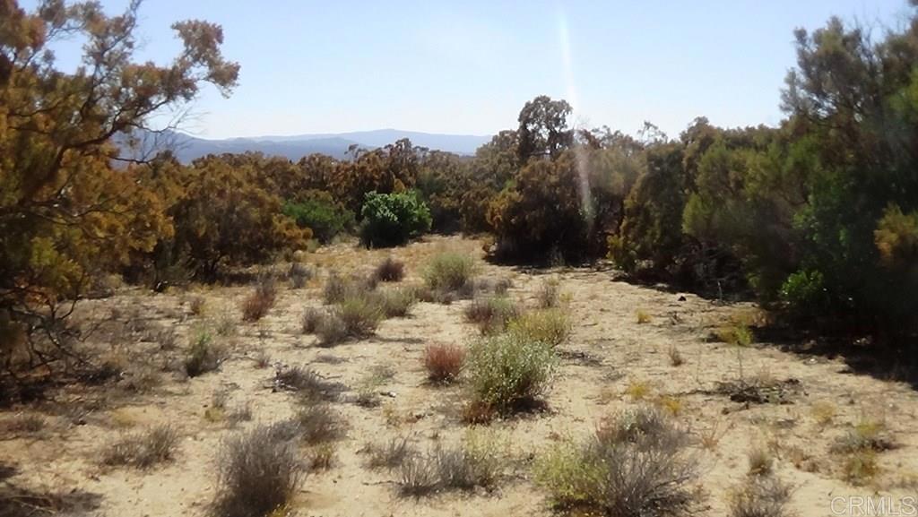 37245 Old Forest Road Property Photo 10