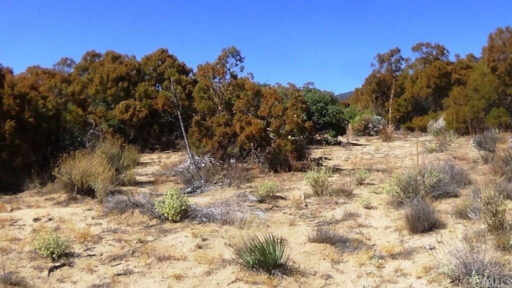 37245 Old Forest Road Property Photo 11
