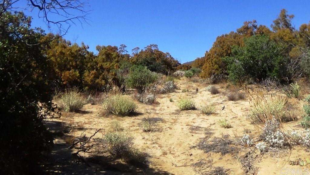 37245 Old Forest Road Property Photo 13