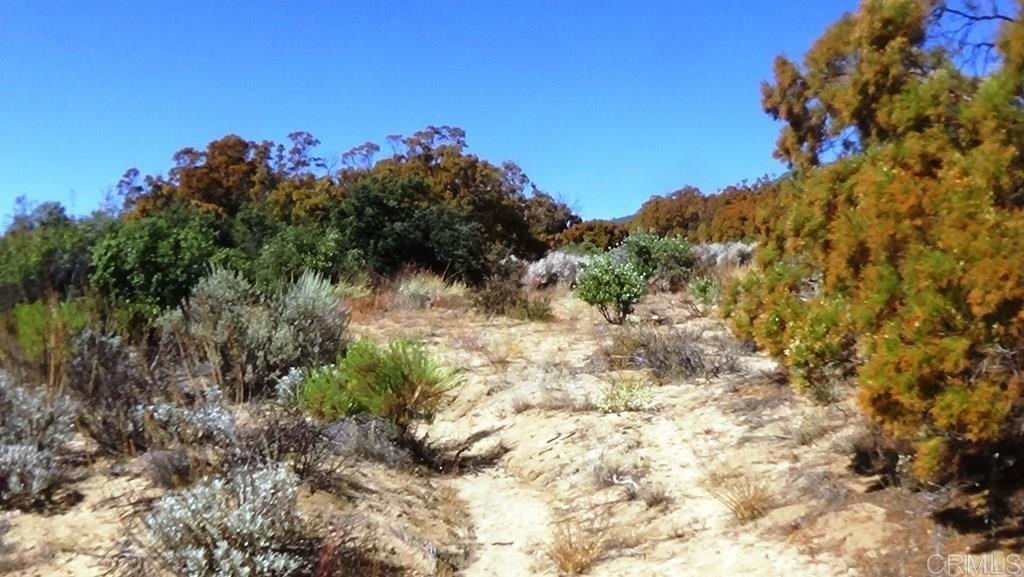 37245 Old Forest Road Property Photo 14