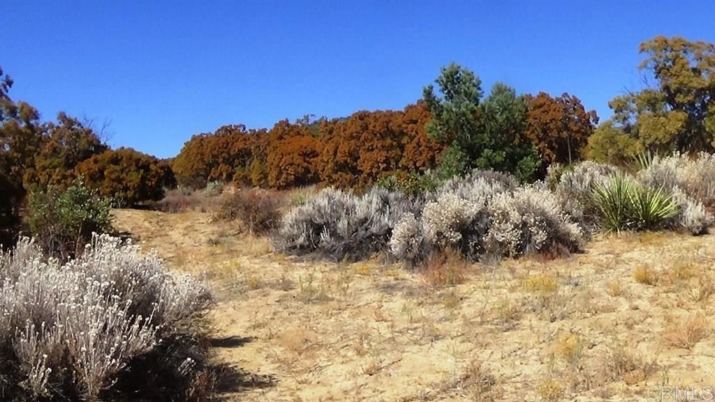 37245 Old Forest Road Property Photo 15