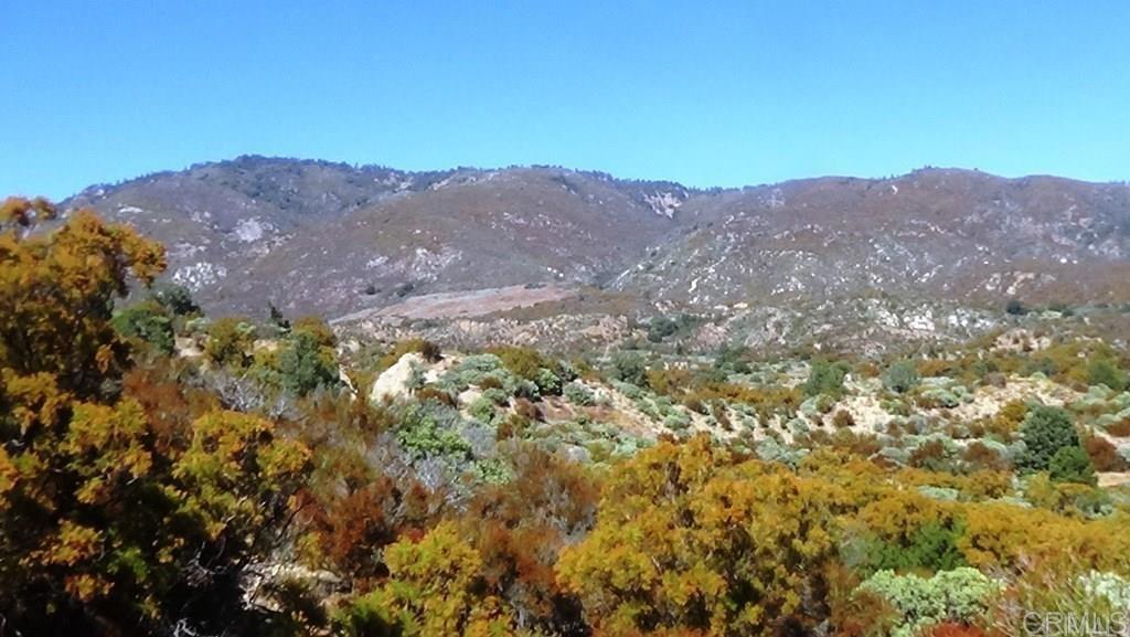 37245 Old Forest Road Property Photo 16