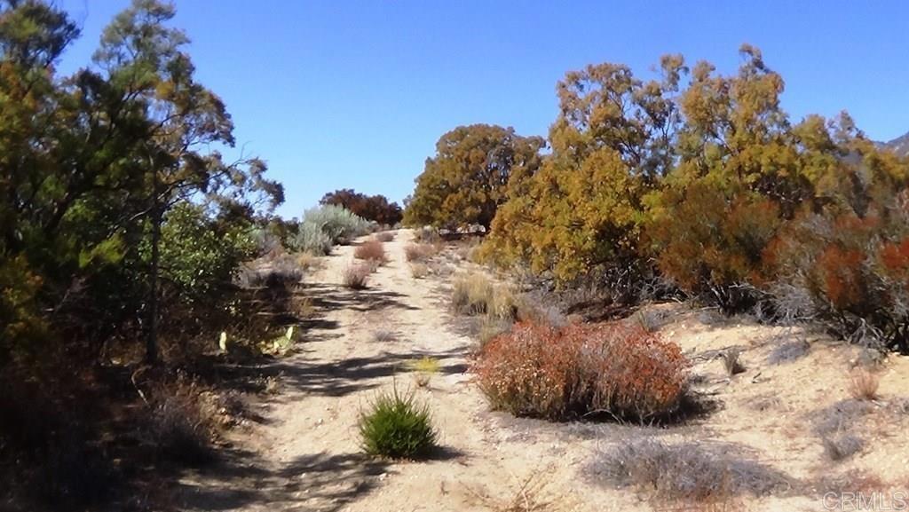 37245 Old Forest Road Property Photo 17
