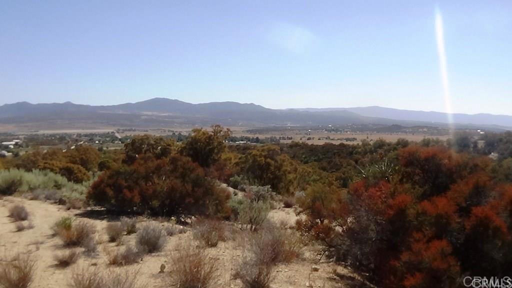 37245 Old Forest Road Property Photo 20