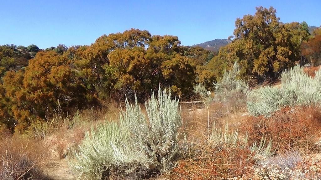 37245 Old Forest Road Property Photo 26