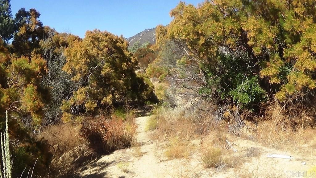 37245 Old Forest Road Property Photo 27