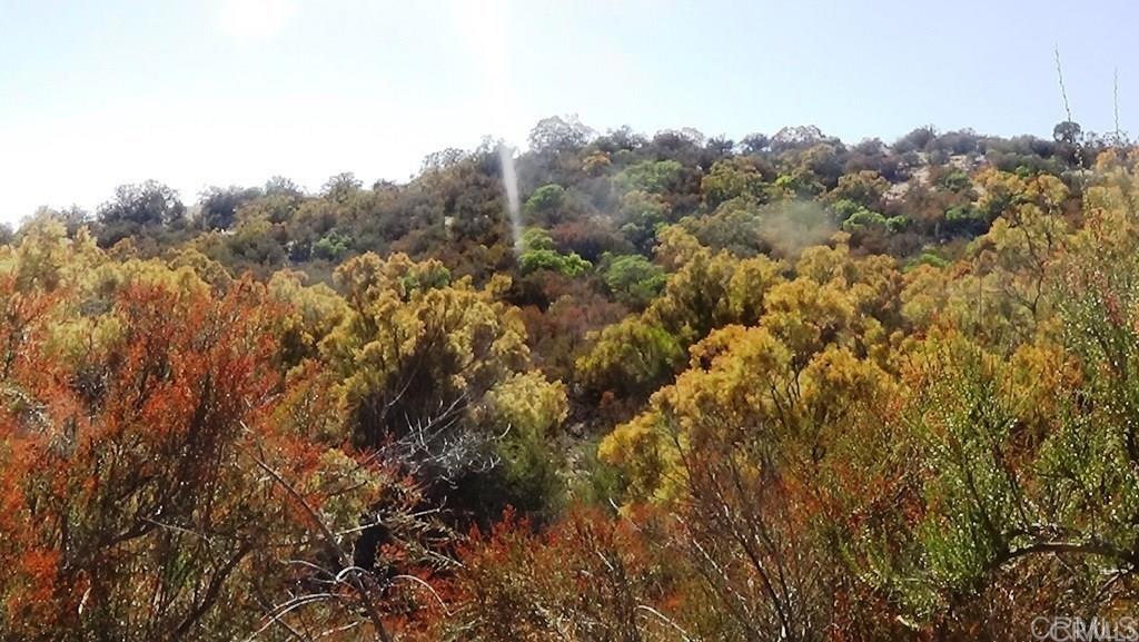 37245 Old Forest Road Property Photo 28